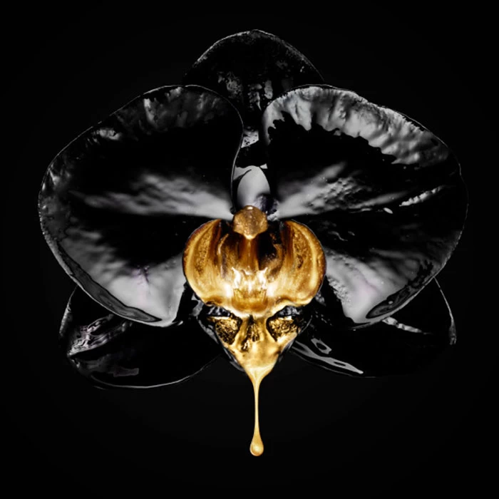 L'Oreal Volume Million Lashes 6 L'Oreal Volume Million Lashes - Imagen 4