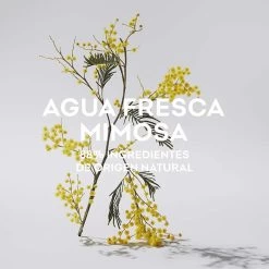 ADOLFO DOMINGUEZ Agua Fresca De Mimosa Coriandro 11 ADOLFO DOMINGUEZ Agua Fresca De Mimosa Coriandro -Tienda De Cosméticos 186312 4