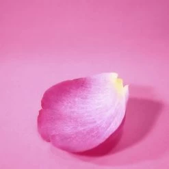 Escada CANDY LOVE "Edición Limitada" -Tienda De Cosméticos 192799 4