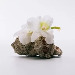 Loewe A MI AIRE 8 Loewe A MI AIRE -Tienda De Cosméticos 196683 4