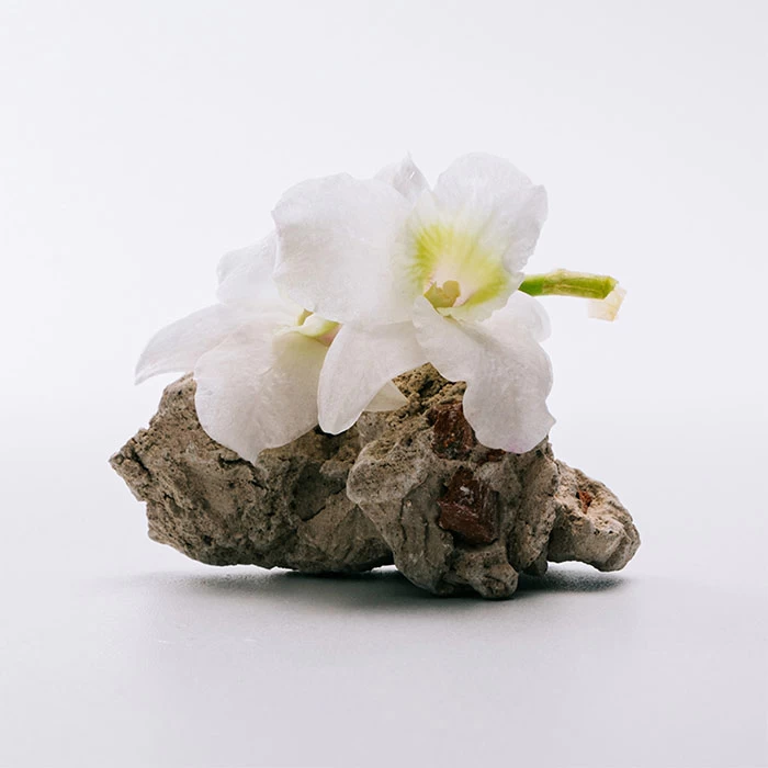 Loewe A MI AIRE 5 Loewe A MI AIRE - Imagen 3