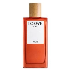 Loewe SOLO ATLAS