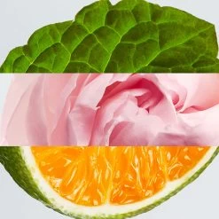 Lacoste L.12.12 Rose EDP -Tienda De Cosméticos 200775 6