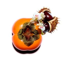 Clarins Nutri-Lumière Revive 10 Clarins Nutri-Lumière Revive -Tienda De Cosméticos 202027 4