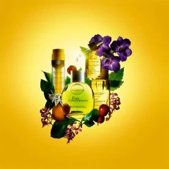 Clarins Eau Extraordinaire 10 Clarins Eau Extraordinaire -Tienda De Cosméticos 204475 5