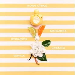 Nina Ricci Nina Soleil "Edición Limitada" -Tienda De Cosméticos 204559 4