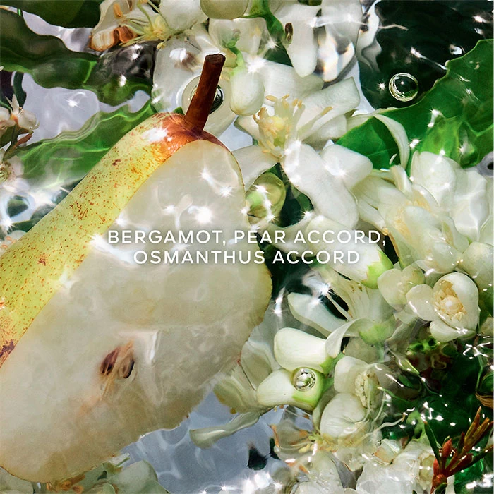 Guerlain Aqua Allegoria Pera Granita Estuche 4 Guerlain Aqua Allegoria Pera Granita Estuche - Imagen 2