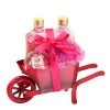 Set De Baño Carretilla Metálica -Tienda De Cosméticos 207165 2