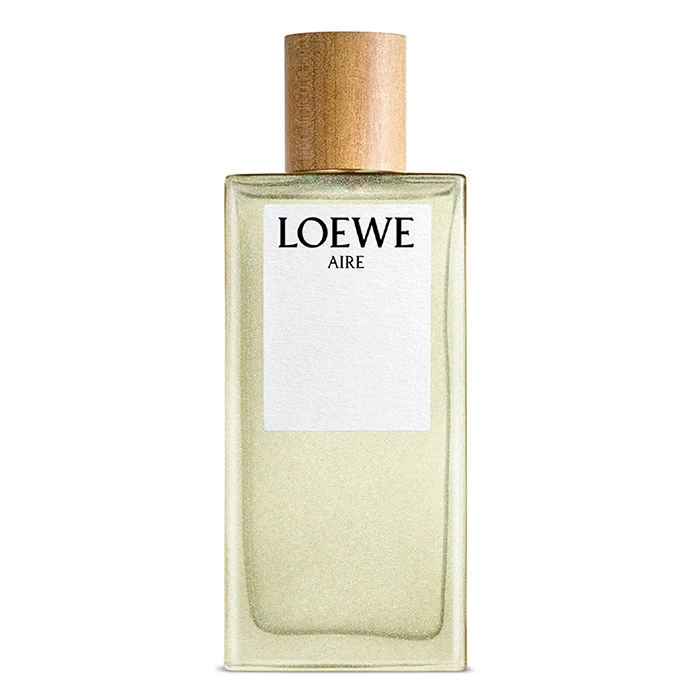 AIRE DE LOEWE 3 AIRE DE LOEWE